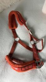 Oranje halster met zilveren paardjes, Dieren en Toebehoren, Ophalen of Verzenden, Gebruikt, Overige soorten