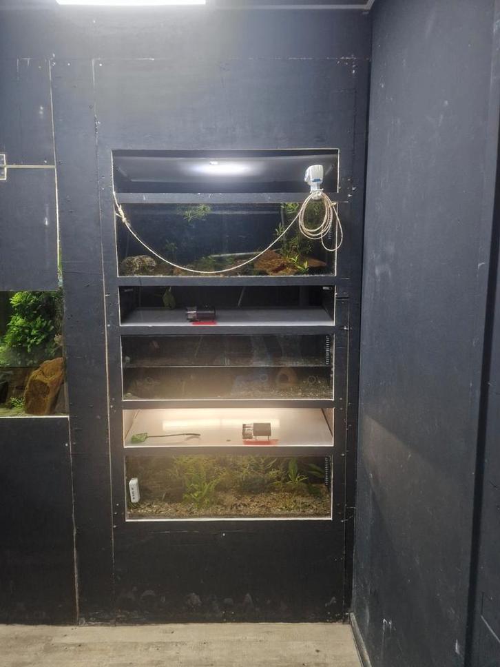 Kweek stelling, Dieren en Toebehoren, Vissen | Aquaria en Toebehoren, Leeg aquarium, Ophalen