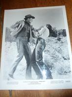35mm film moviestill Border River - Yvonne De Carlo - 1954, Verzenden, 8mm film