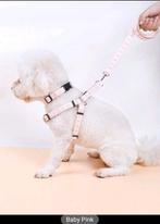 Honden tuigje+halsband+riem, Dieren en Toebehoren, Ophalen of Verzenden, Nieuw