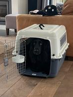 Honden reisbenche, Dieren en Toebehoren, Ophalen of Verzenden, Zo goed als nieuw