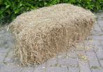 Kleine balen hooi te koop, Dieren en Toebehoren, Dierenvoeding, Ophalen