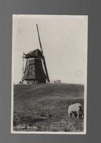 Nes Ameland Molen De Phenix met 1 roed Poststempel 1948, Verzenden, 1940 tot 1960, Gelopen, Waddeneilanden