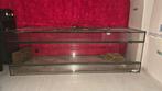 Terrarium te koop – glas – 120x50x40 cm, Dieren en Toebehoren, Reptielen en Amfibieën | Toebehoren, Ophalen, Gebruikt, Terrarium of Paludarium