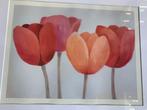 Britta Hansen zeefdruk Tulpen 2 stuks, Ophalen of Verzenden