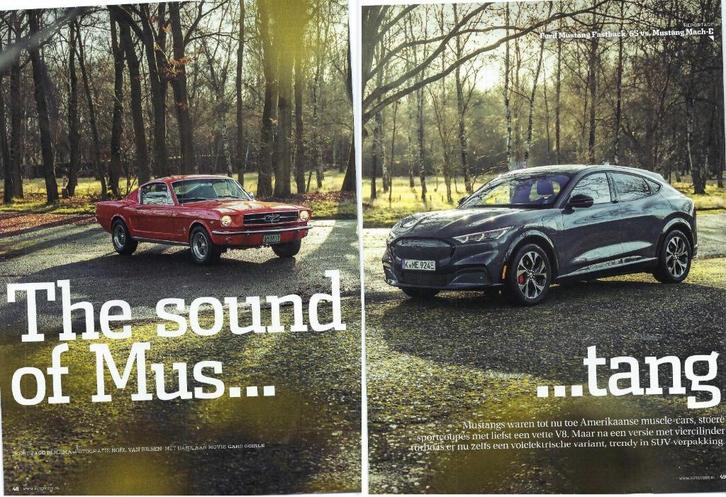 Ford Mustang Mach-E ? 21x autotest lezen, Boeken, Auto's | Folders en Tijdschriften, Gelezen, Ophalen