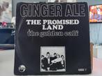 7" Single Ginger Ale - The Promised Land / The Golden Calf, Cd's en Dvd's, Gebruikt, 7 inch, Single, Ophalen of Verzenden