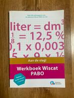 Erasmus Education - Werkboek wiscat PABO, Boeken, Overige niveaus, Nederlands, Ophalen of Verzenden, Erasmus Education
