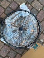 Shimano WH-RS171 Disc CL Race Achterwiel Zwart 12mm Steekas, Algemeen, Nieuw, Shimano, Ophalen