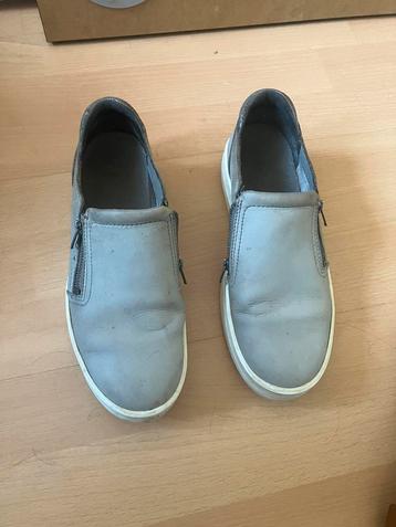 Timberland  beschikbaar voor biedingen