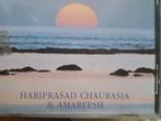 cd HERE - Hariprasad Chaurasia & Amareesh (1995), Ophalen of Verzenden, Gebruikt, Aziatisch