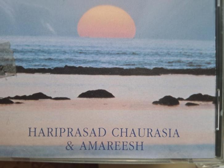 cd HERE - Hariprasad Chaurasia & Amareesh (1995), Cd's en Dvd's, Cd's | Wereldmuziek, Gebruikt, Aziatisch, Ophalen of Verzenden