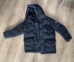 Tommy Hilfiger Winterjacker, L, Kleding | Heren, Jassen | Winter, Maat 52/54 (L), Blauw, Tommy Hilfiger, Ophalen of Verzenden