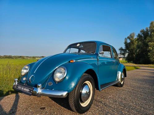 Volkswagen Kever 82dkm 1e lak 1e eigenaar Matching numbers, Auto's, Oldtimers, Bedrijf, Mistlampen, Volkswagen, Benzine, Sedan