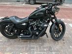 Harley Davidson Iron 883, Motoren, Motoren | Harley-Davidson, 2 cilinders, Chopper, 883 cc, Particulier