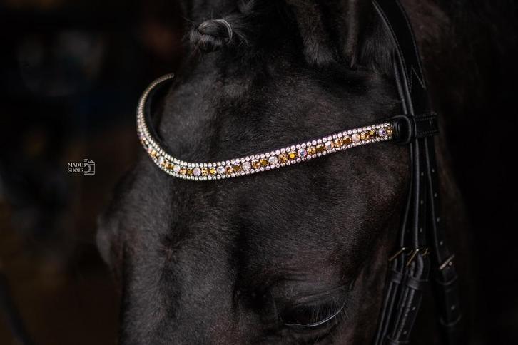 L'Anique Click&Go Frontriem Frozen, Dieren en Toebehoren, Paarden en Pony's | Hoofdstellen en Tuigage, Nieuw, Dressuur, Ophalen of Verzenden