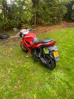 BLACKFRIDAY ACTIE €600.- Leike Hornet - Gilara DNA kappen, Fietsen en Brommers, Ophalen, Gebruikt, Maximaal 45 km/u, Benzine