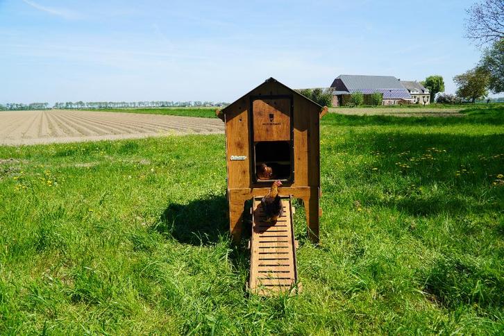 Trespa Kippenhok / Classic L Op Pootjes - Cucciolotta, Dieren en Toebehoren, Pluimvee | Toebehoren, Nieuw, Kippenhok of Kippenren