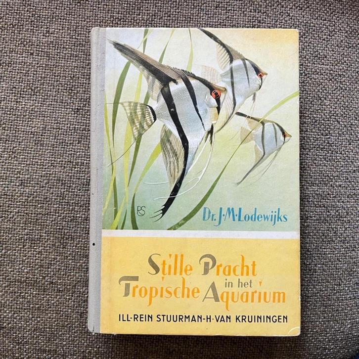 Stille pracht in het aquarium, Boeken, Prentenboeken en Plaatjesalbums, Zo goed als nieuw, Ophalen of Verzenden