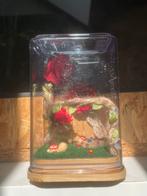 Ingericht Springspin Terrarium 10×10×14,5 cm rode rozen 🌹, Spin of Schorpioen