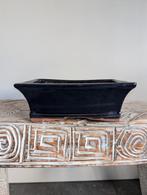 Bonsai pot 19x14x7, Tuin en Terras, Bloempotten, ., Ophalen of Verzenden, ., Rechthoekig