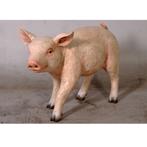 Standing Piglet 40 cm - varken - biggetje beeld, Ophalen, Nieuw, Overige soorten, Overige typen
