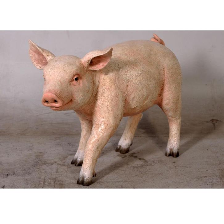 Standing Piglet 40 cm - varken - biggetje beeld, Verzamelen, Dierenverzamelingen, Nieuw, Overige typen, Overige soorten, Ophalen