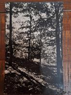 Fotokaart Hulshorst - C.J.V. Kamp - 1959, Verzamelen, Ophalen of Verzenden, 1940 tot 1960, Gelopen, Gelderland