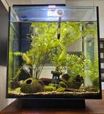 Aquarium superfish 30 liter met led en filter, Ophalen of Verzenden, Zo goed als nieuw, Leeg aquarium