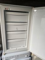 Vrieskast van Pelgrim, Ophalen of Verzenden, Gebruikt