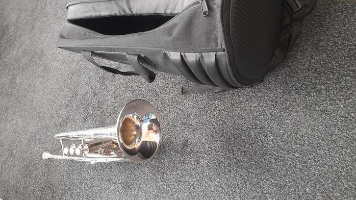 Cornet Besson zonder beschadigingen, Muziek en Instrumenten, Blaasinstrumenten | Overige, Zo goed als nieuw, Koperblazer, Met koffer of draagtas