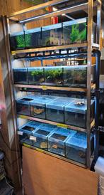 Aquarium stelling, Dieren en Toebehoren, Ophalen, Gebruikt, Leeg aquarium