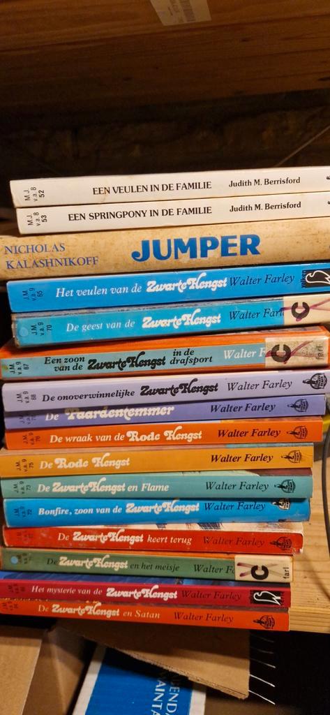 Zwarte Hengst Boekenserie - Walter Farley, Boeken, Partijen en Verzamelingen, Gelezen, Kind en Jeugd, Ophalen of Verzenden