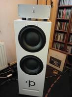 Pink Faun subwoofer met een mono Pink Faun eindverst., Audio, Tv en Foto, Luidsprekers, Subwoofer, Zo goed als nieuw, 120 watt of meer