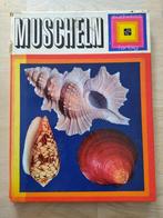 Muscheln boek Duitstalig, Boeken, Natuur, Gelezen, Sergio Angeletti, Ophalen of Verzenden, Overige onderwerpen