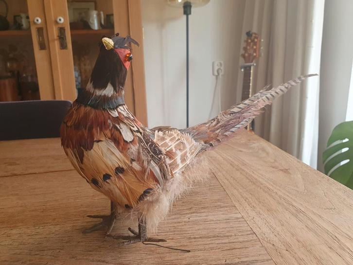Antieke decoratieve Fazant van veren, Huis en Inrichting, Woonaccessoires | Overige, Gebruikt, Ophalen of Verzenden