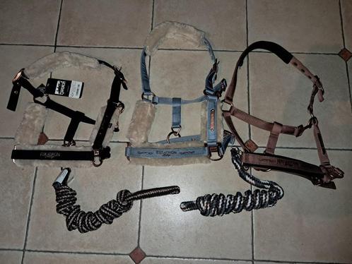 Eskadron ponyhalsters, Dieren en Toebehoren, Paarden en Pony's | Hoofdstellen en Tuigage, Nieuw, Overige soorten, Ophalen of Verzenden