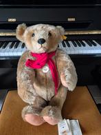 Steiff Teddy Beer Knopf im Ohr, classic 1906, Ophalen of Verzenden, Zo goed als nieuw, Steiff