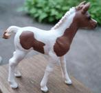 Schleich Pintabian veulen, Ophalen of Verzenden, Zo goed als nieuw, Paard, Beeldje of Figuurtje