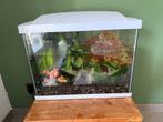 Superfish aquarium, Dieren en Toebehoren, Vissen | Aquaria en Toebehoren, Ophalen of Verzenden, Zo goed als nieuw, Leeg aquarium