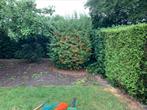 Tuinman, Tuin en Terras, Overige Tuin en Terras, Ophalen of Verzenden, Zo goed als nieuw