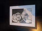 Fotolijst met Marilyn Monroe, Ophalen