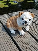 Bulldogs, Ophalen, Nieuw, Kunststof, Dierenbeeld