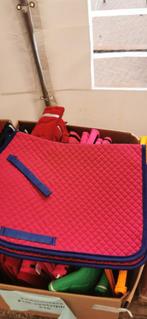 Veelzijdigheid dekje pony