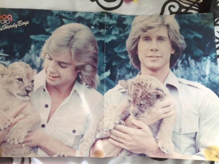 poster Hardy Boys Debbie harry Blondie, Verzamelen, Posters, Gebruikt, Film en Tv, A1 t/m A3, Ophalen of Verzenden