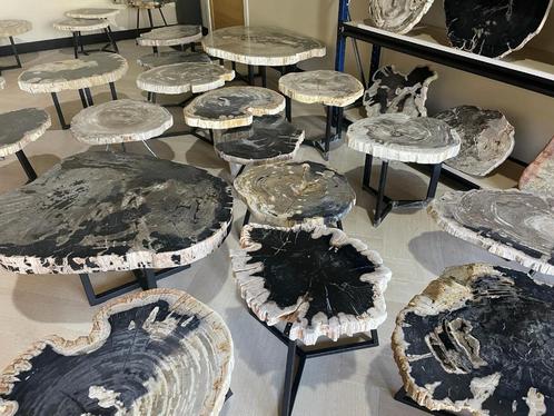 Versteend Hout Salontafels  - Fossiele versteende salontafel, Huis en Inrichting, Tafels | Salontafels, Nieuw, Overige vormen