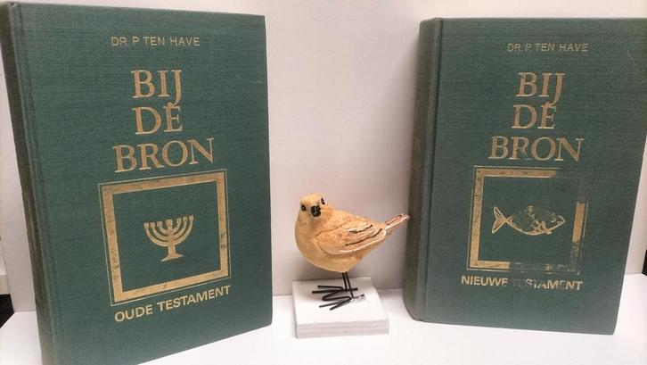 Have, Dr. P. ten;  Bij de bron 2 delen:  O.T. & N.T., Boeken, Godsdienst en Theologie, Gelezen, Christendom | Protestants, Ophalen of Verzenden