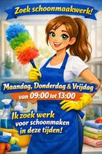 Schoonmaak, Vacatures, Overige niveaus, Vanaf 3 jaar, Overige vormen