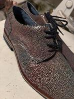Nieuwe Van Beers schoenen - maat 39-42, Kleding | Heren, Schoenen, Ophalen, Nieuw