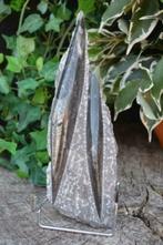 14. Orthoceras fossiel plaat uit Marokko, Ophalen of Verzenden, Fossiel